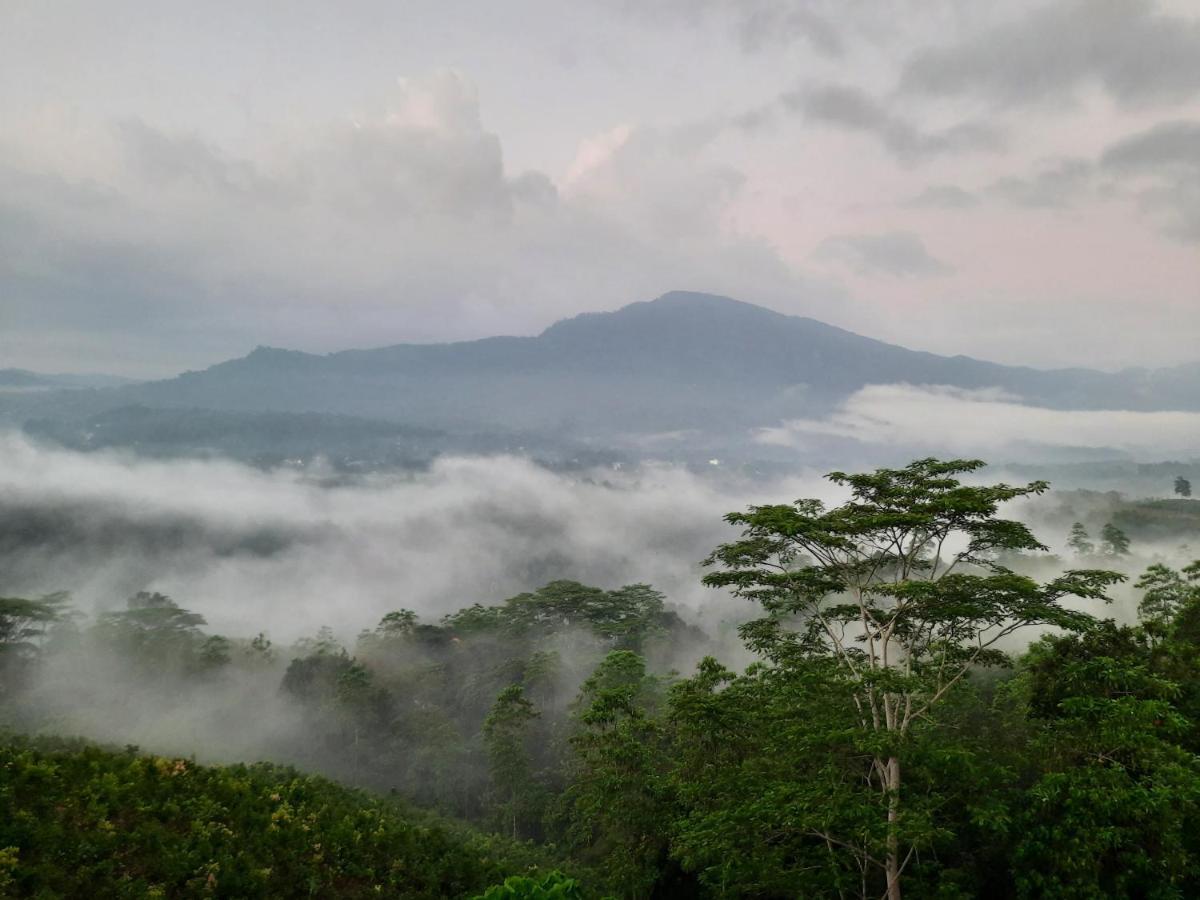 Terrace Cinnamon View Ratnapura Exterior foto